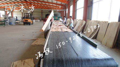 产品 板板材 板板材 供应信息产品详情:免熏蒸木板材,胶合板板材厂家